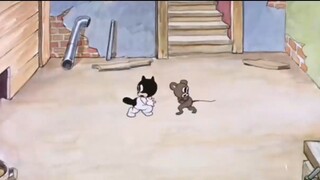 The kitten is trained to catch mice, and the mouse is trained to hide from the cat. Can the cat and 