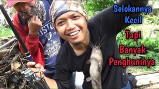 Selokan Kecil Ini Tidak Banyak Pemancing Yang Tau.. TERNYATA BANYAK IKANNYA BROO