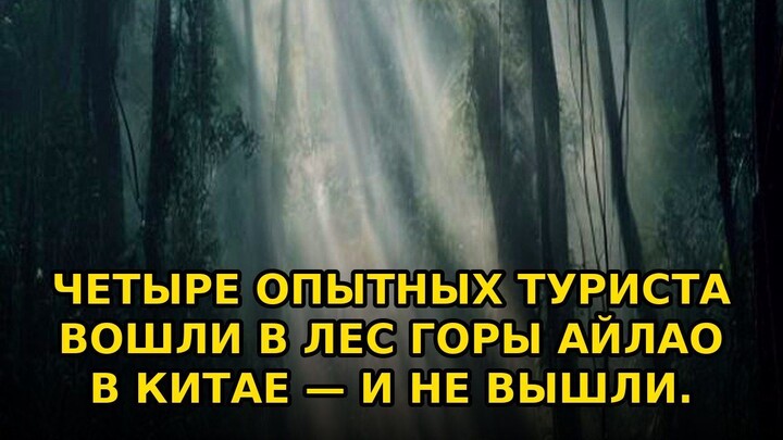 Четыре опытных туриста вошли в лес горы Айлао в Китае — и не вышли