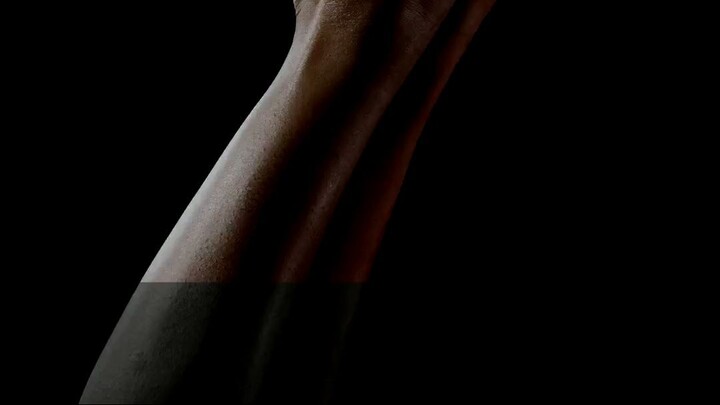 Why Your Stomach Isn't the Nutrient Hub