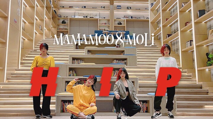 【Molli】【MAMAMOO】【Bài hát sinh nhật】HIP – Tôi chính là người dẫn đầu xu hướng thời trang