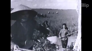 🔥| 🎬Câu Chuyện Quê Hương [Phim Việt NamFull HD] - Thuyết Minh