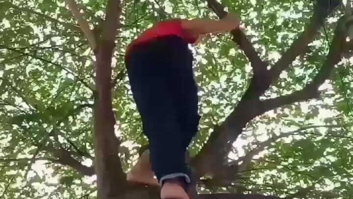 korban penipuan naik ke atas pohon