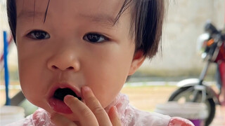 人类幼崽仓鼠行为