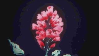 AMV - Last Petal