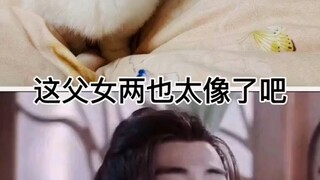 Xiao Zhan, Gadis Kacang sangat mirip denganmu