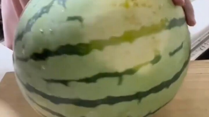 Konon tidak ada orang yang bisa memotong melon ini dengan baik, karena akan terbelah dengan sekali p