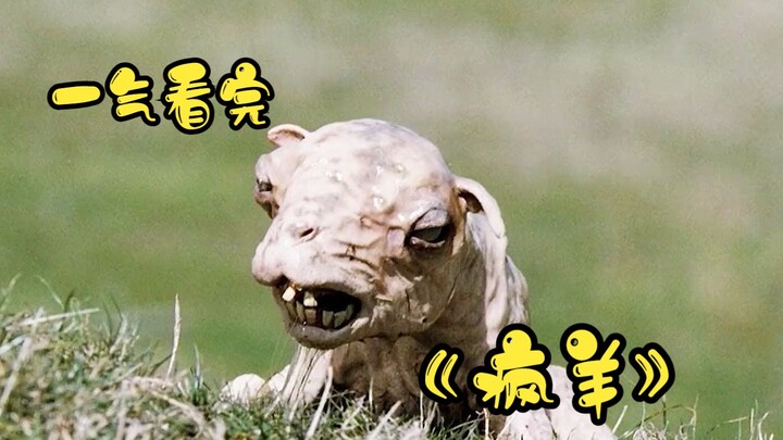 Watch the horror movie "Mad Sheep" in one sitting