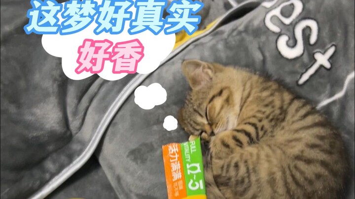 How do you wake up a sleeping kitten? Magic, of course—fight fire with fire!