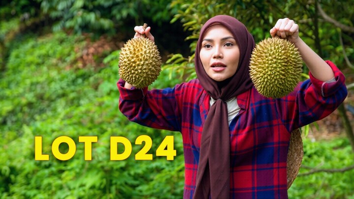 Telemovie Lot D24 2026