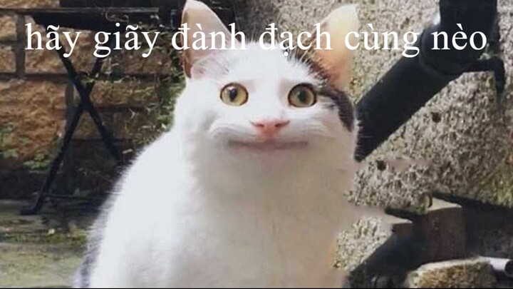ai giãy đành đạch chung với tui ko:>