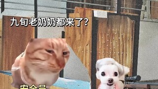 不像是刚刚抢手的，像是没忘干净的样子