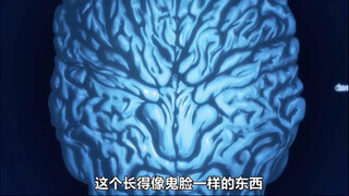 刃牙的鬼脑究竟有多可怕？梢江与刃牙时隔半年再次相见！