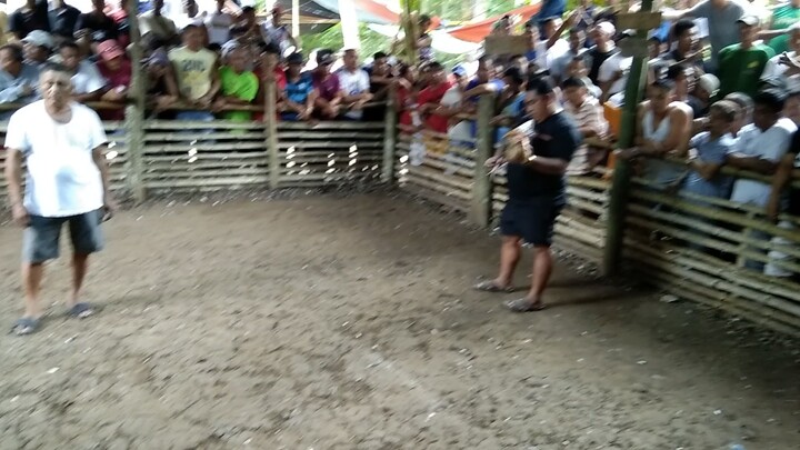 Nag change magazine ulit bulik ko!🔥🐓