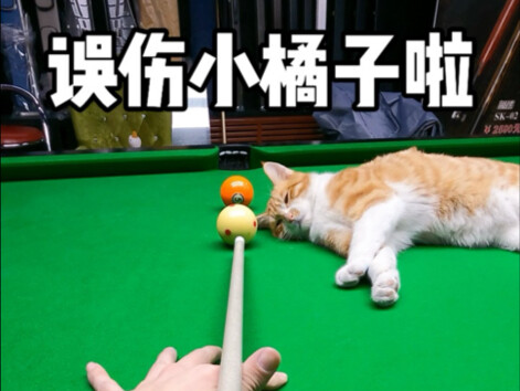 不好意思 误伤小橘子啦