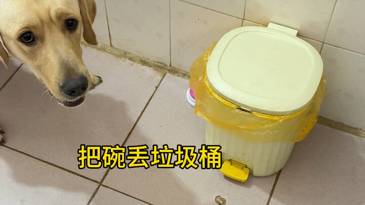 把开饭按钮粘墙上