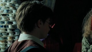 Apakah Trelawney seorang pembohong atau ahli peramal? Perbandingan antara film Harry Potter dan nove