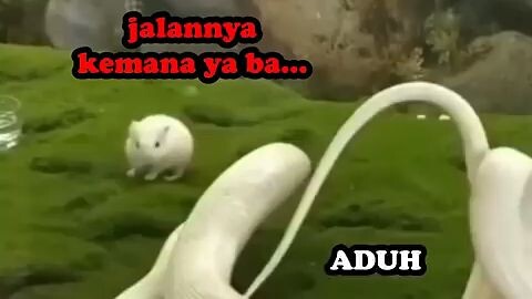 karma kan ! akhirnya salah gigit lu
