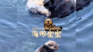 就这样无忧无虑地漂浮在妈妈身边
