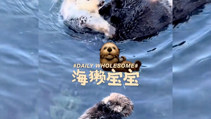 Cứ thế vô tư trôi nổi bên cạnh mẹ