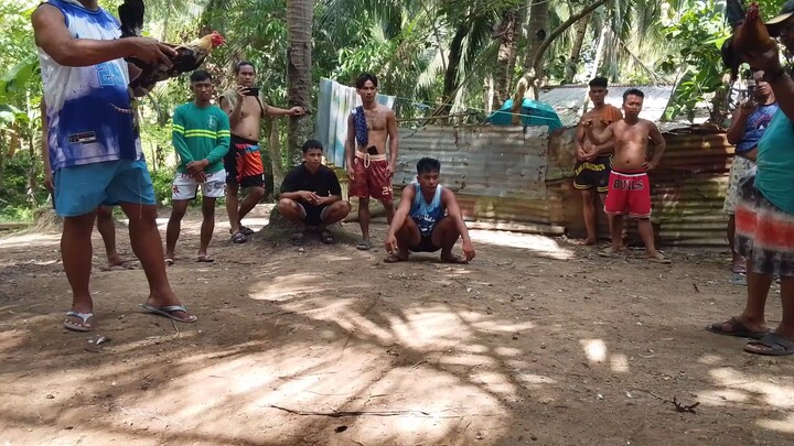 talisay vs alingbuyugin malaki kalaban..