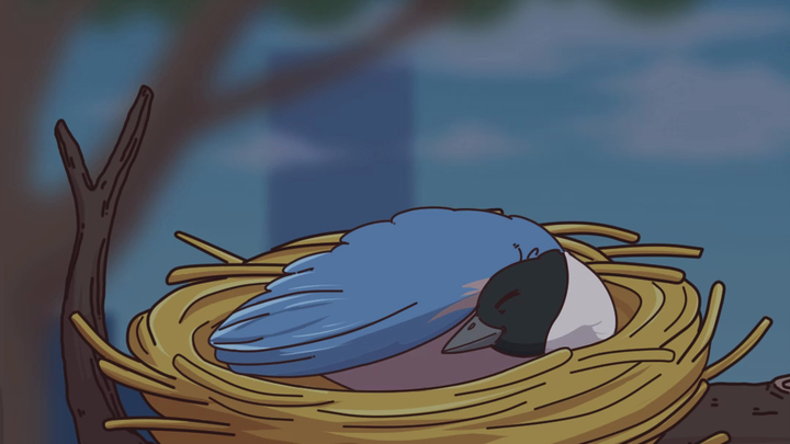 "Burung Tukang Jagal" yang Gemar Makan Sate