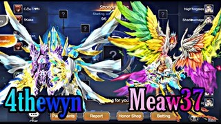 4thewyn and Meaw37 Basic Stats, Gears, Spirit and Mount ¦ Majesty Competition's Possible Final Match