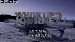 Dinosaurs planet white tip's journey พากย์ไทย