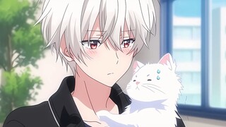 Picked up a cat and gave it to a girlfriend? 🤩