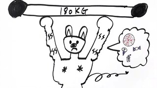 【Stray Kids】纯认人+成员介绍版配字接力视频