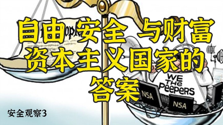 安全观察—自由,安全,财富 资本主义国家的答案