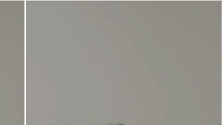 AleXa Dance丨Kpop single dance yang hot, sangat menular!