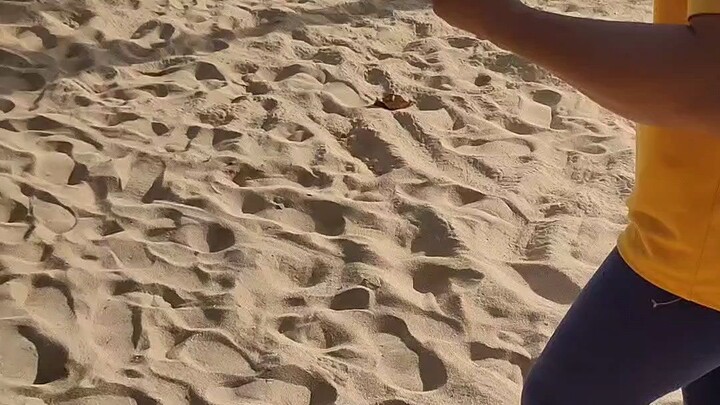 beautiful beach in PH 😍