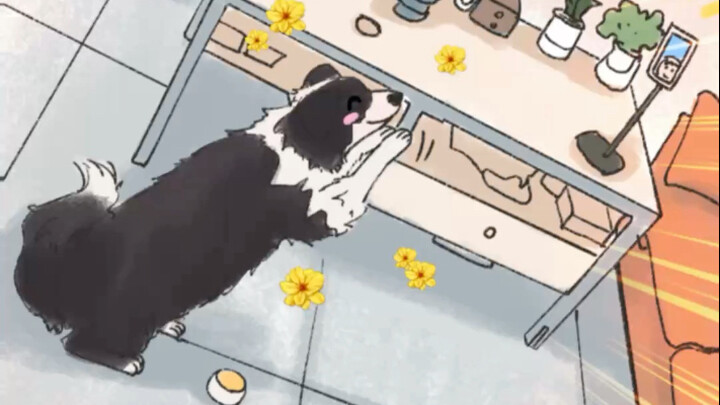 Even the dog can start a video now!