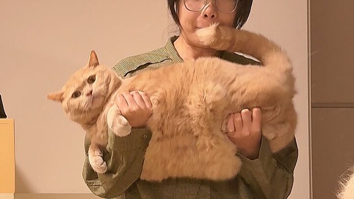 นี่อะไร คู่เมียวชิน ลองเป่าดูสิ