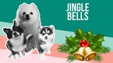 Jingle Bells but it's Doggos and Gabe