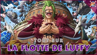 TOUT SUR LA GRANDE FLOTTE DE LUFFY ⛵️! - One Piece EXPLICATION