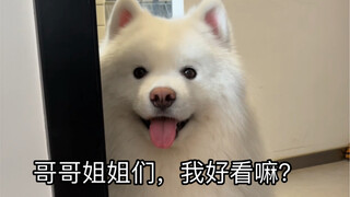 It seems to know it's super cute and well-behaved!