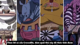 Cách Để Thức Tỉnh Trái Ác Quỷ_Tiềm Năng Sức Mạnh Giúp Luffy Đánh Bại Kaido _ 3