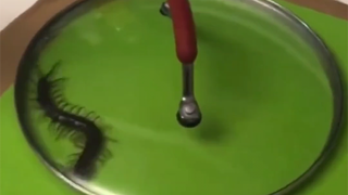 在线等，怎么处理