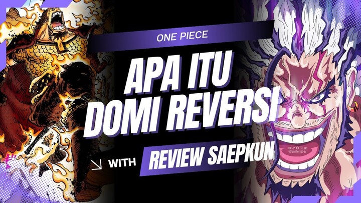 APA ITU DOMI REVERSI ??? | ONE PIECE