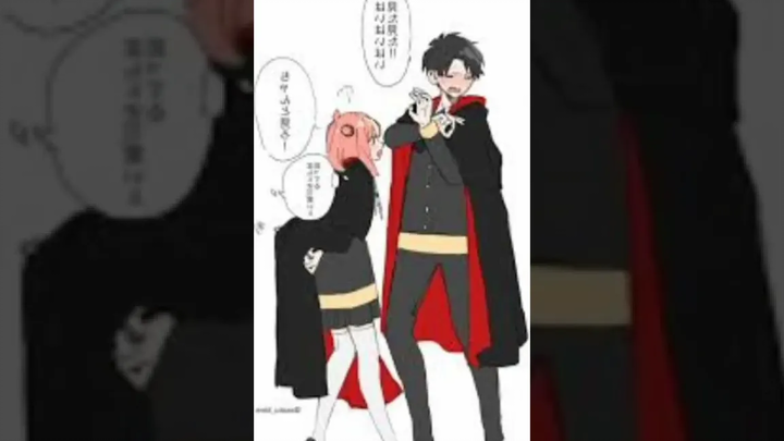 อาเนียดาเมียนสปายแฟมิลี่