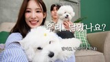 (SUB) 나연 둘에 희두 둘 (feat. 강형욱 선생님)