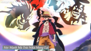 Tất Tần Tật Về Người Sử Dụng Trái Ác Quỷ Nika- Thái Dương Thần Luffy-P4