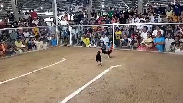 1st Fight win (2 hits) @ Basista Coliseum Aug 31, 2025