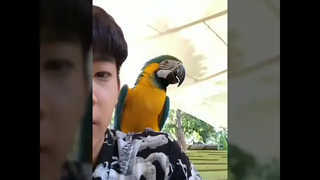 ออฟกัน ป่าปี๊ไม่ได้หล่อขนาดนั้น กันอรรถพันธ์ offgun คู่จิ้นชายชาย
