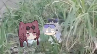 猫娘人都麻了