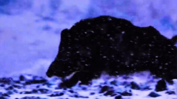 slow motion running by board