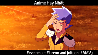 Eevee meet Flareon and Jolteon「AMV」 Hay Nhất