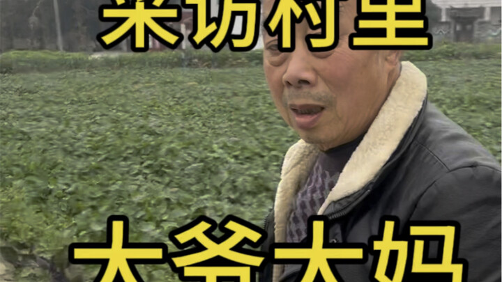农村采访大爷大妈的神回复二